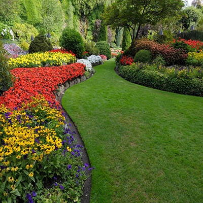 Manicured Garden